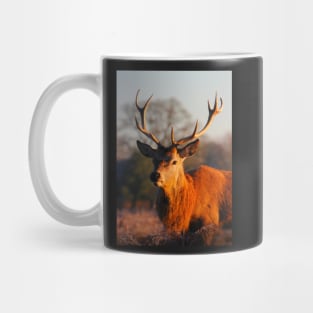 Solitude of the Stag Mug